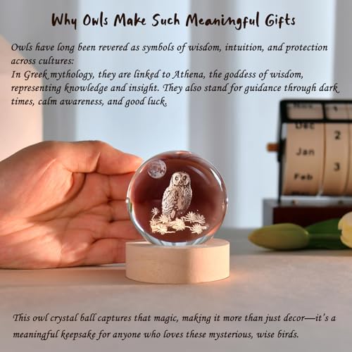 Image of 3D Owl Crystal Ball 60mm Owl Figurines in Crystal Ball Decor Collectibles Snow Globes Gift Glass Sphere with Wooden Light Base | Owl Figurines Room Decor Collectibles Snow Globes Gift for Friends Coworkers Glass Sphere with Wooden Light Base