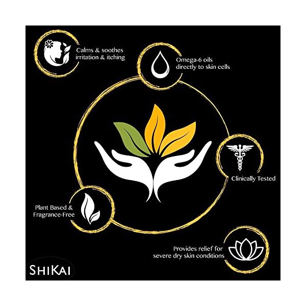 ShiKai Borage Therapy - Daily Facial Moisturizer, 3 Ounces (Pack of 2)