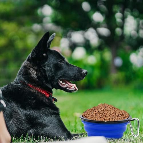 Image of SLSON Silicone Collapsible Dog Bowl,2 Pack Collapsible Dog Water Bowls for Cats Dogs,Portable Pet Feeding Watering Dish for Walking Parking Traveling with 2 Carabiners (Large,Large Blue+Green)