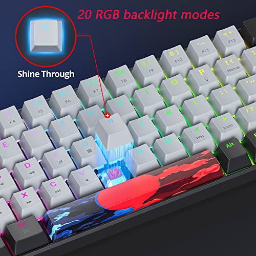 Image of Protable 60% Percent Gaming Keyboard Mechanical, Mini Compact RGB Backlit 68 Keys Wired Office Keyboard with Red Switch for Mac /Win (Dolch /red Switch 68)