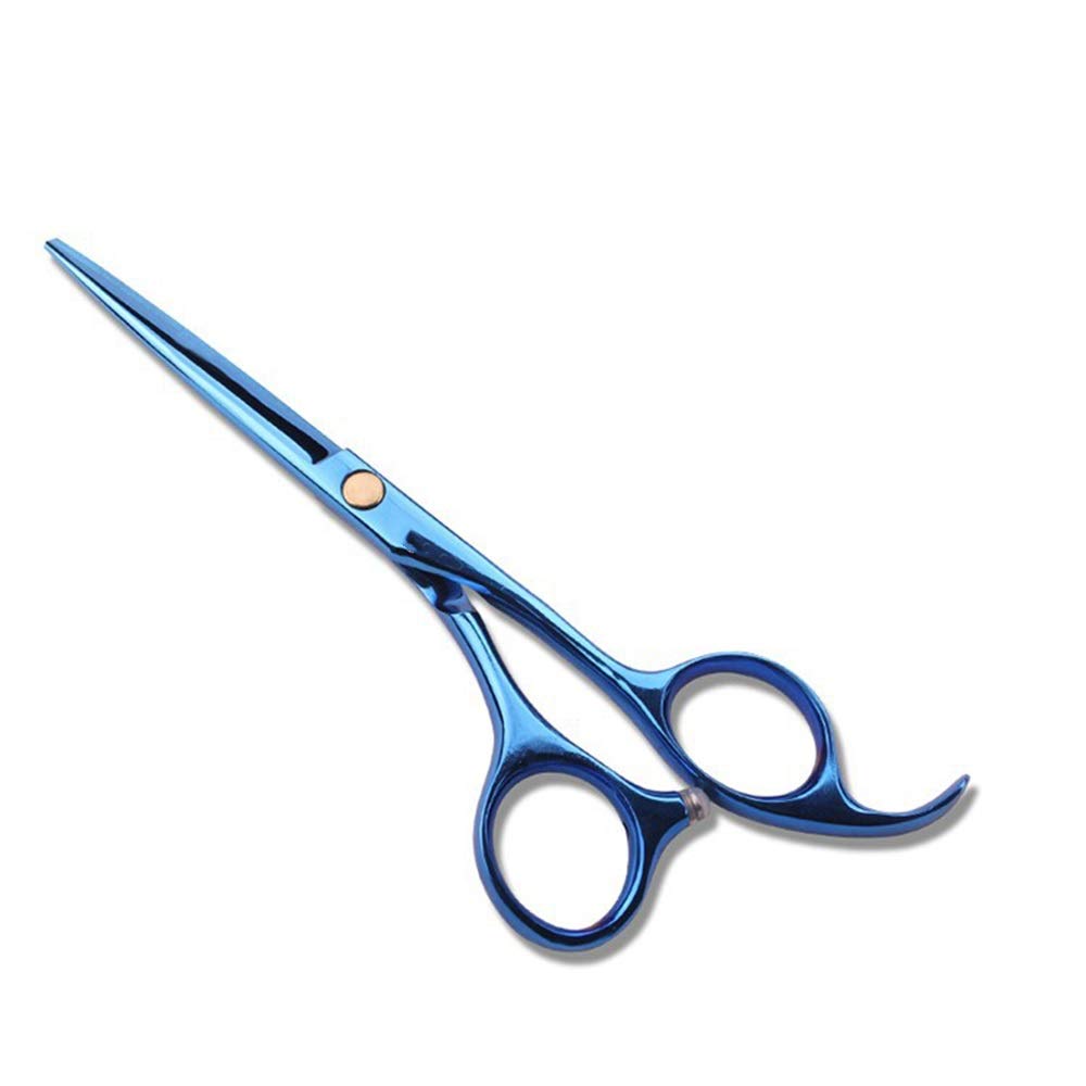 Ciseaux de coiffure bleus pour rafraîchir sa coupe de cheveux