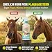 Green Hero Bremsen & Fliegenspray Pferd 500 ml | Sofortschutz gegen Bremsen, Fliegen, Mücken, Kriebelmücken & Hirschlausfliegen | Bremsenspray als Insektenschutz für Pferde