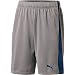 PUMA Men's Formstripe Mesh Shorts 10"