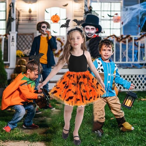 Photo complémentaire