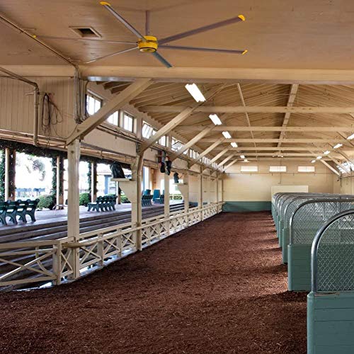 Big Ass Fans 3600 Ceiling Fan 6 Blade Cooling Indoor Commercial Residential Gearless Direct Drive Motor 110-125V/1Ph Cools 3K+ Sq Feet Silver/Yellow thumb #6