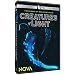 Nova: Creatures of Light
