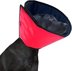 Colar Elizabetano Pet para Cachorro – Protetor Cirúrgico, Anti-Lambedura e Confortável (0)