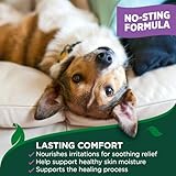 Vet's Best Dog Hot Spot Juckreiz Relief Spray, Lindert trockene Haut, Ausschlag, Kratzen, Belecken, juckende Haut und Hot Spots bei Hunden, brennt nicht und ist alkoholfrei 250ml