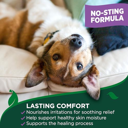 Vet's Best Dog Hot Spot Juckreiz Relief Spray, Lindert trockene Haut, Ausschlag, Kratzen, Belecken, juckende Haut und Hot Spots bei Hunden, brennt nicht und ist alkoholfrei 250ml