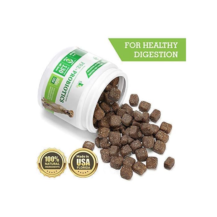 Buy Buddy&Max Probiotic Chews for Dogs Digestive Enzymes Diarrhea