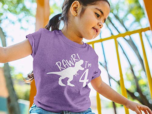 rawr im 4 Year Old Girl Birthday Shirt Dinosaur Roar Four 4th Toddler Outfit Fourth4