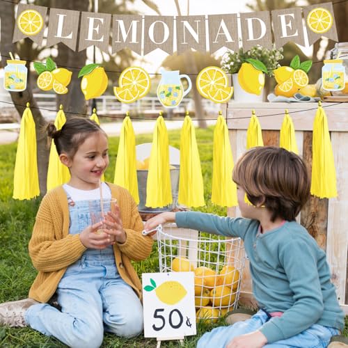 Image of Lemonade Stand Party Decorations - 3PCS Lemonade Stand Supplies for Kids Lemonade Banner Garland for Summer Lemonade Sign Tassels Lemon Themed Bridal Shower Birthday Party Supplies Decor