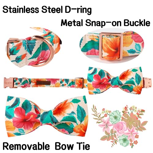 Unique style paws Dog Collar, Colorful Flower Dog Collar - Image 2