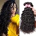 Longqi 6a Unprocessed Brazilian Virgin Hair Natural Wave Pack of 3 Cheap Wavy Human Hair Bundles Deal (8 10 12inch, Natural Color)