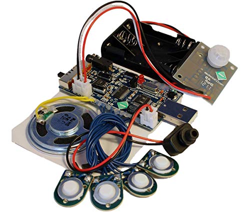 300 Second USB Recording Module W/Light Sensor & PIR for Motion Activation