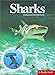 Sharks (A Firefly Guide)