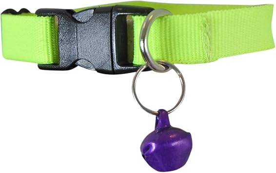 Cat Collar with Bell Kitten Collar