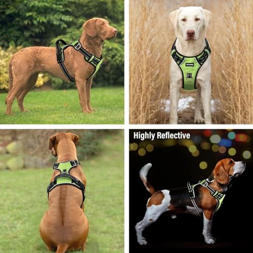 Image of No Pull Dog Chest Belt Harness, Comfortable & Adjustable Size for 14-23 Kg Pet (Green, Medium)