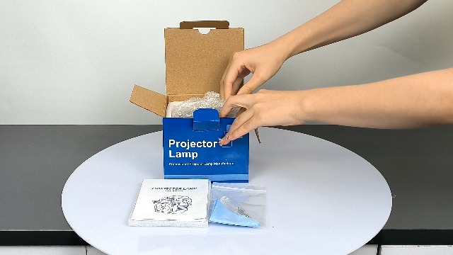 Amazon.com: Woprolight V13H010L87 Replacement Projector Lamp with