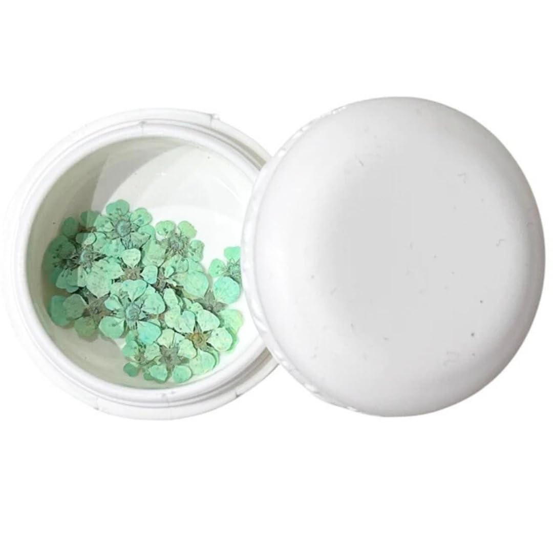 THE KRAFTY KART’S Aquamarine Plums Plums Dried & Preserved F…