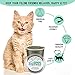 from The Field | Fine Ground Stalkless Catnip | Premium USA-Grown Catnip for Toys & Playtime | Fresh, Potent, Non-Toxic, Eco-Friendly | Safe for Kittens & Cats | Resealable 6 oz Tub