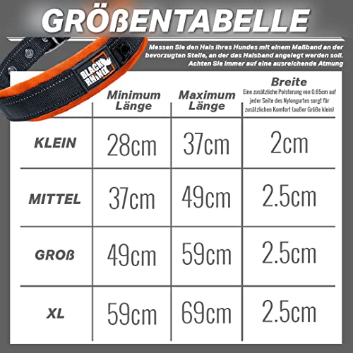 Black Rhino – Das Komforthalsband, superweiches, mit Neopren gepolstertes Hundehalsband für alle Hunderassen – robust, verstellbar, reflektierend, wetterfest (groß, orange/schwarz)