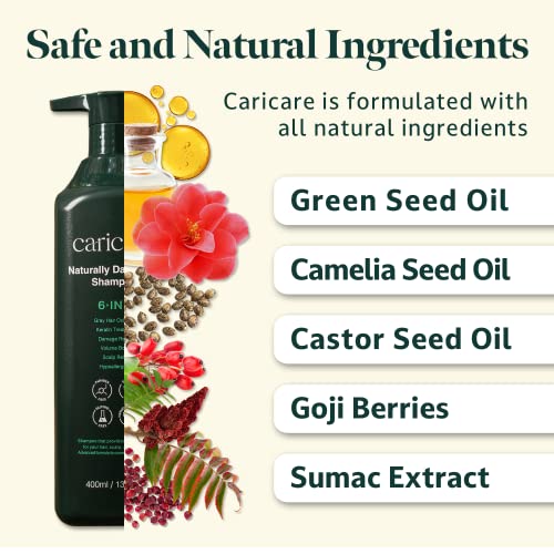 Caricare Naturally Gray Reduce Shampoo, Darkening Gray Hair, Keratin Treatment, Damage Repair, Volume Boost, Scalp Relief, Hypoallergenic, Made In Korea, 13.5 Fl Oz- Pack Of 1 #TOP2