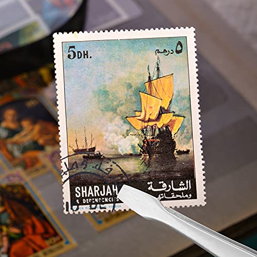 Zhehao 2 Pieces Flat Tip Tweezer Blunt Tip Tweezers Feeding Tongs Stainless Steel Lab Forceps With Straight Flat Tips Scientific Forceps Lab Tweezers For Laboratory Work thumb #2