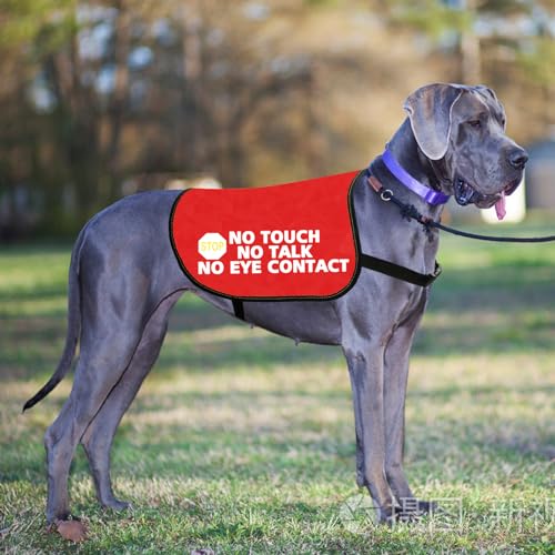 Nervous Dog Jacket Vest Service Dog Working Dog No Touch No Talk No Eye Contact Slogan Warning Vest (EYE CONTACT L) - Image 3