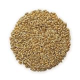 Canadian Canary Seeds 5lbs