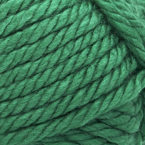 Image of Lion Brand Yarn Hometown Yarn, Super-Bulky Yarn for Knitting, Crocheting, and Crafting, 1 Pack, Green Bay