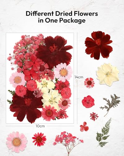 Image of Dried Flowers, Resiners 174Pcs Pressed Flowers for Craft Red Real Natural Dried Flowers Dry Leaves Kit for DIY Making Crafts Resin Soap Candle Scrapbook Supplies Card Making Jewelry