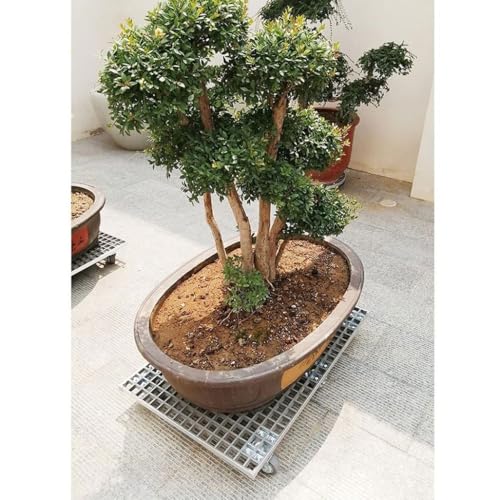 Support à plantes durable avec capacité de 363 kg et roues