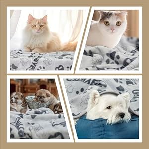   1-Pack-3-Dog-Blanket-31x41Inch-Upgraded-Dog-Cat-fleece-Blanket-Washable-Dog-Blanket-Soft-Pet-Throw-Cover-for-Kennel-Bed-Cute-Paw-Pattern-Pet-Blanket-Medium-Small-Dogs-Grey