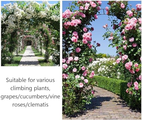 Treillis de jardin robuste contre l'affaissement des plantes - 3