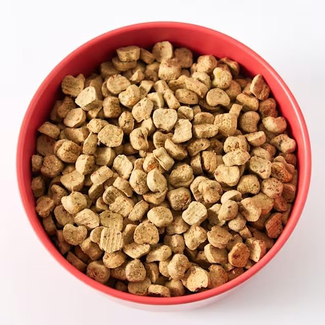 Ollie Baked Turkey Dish with Butternut Squash Dog Food, 5 lbs.