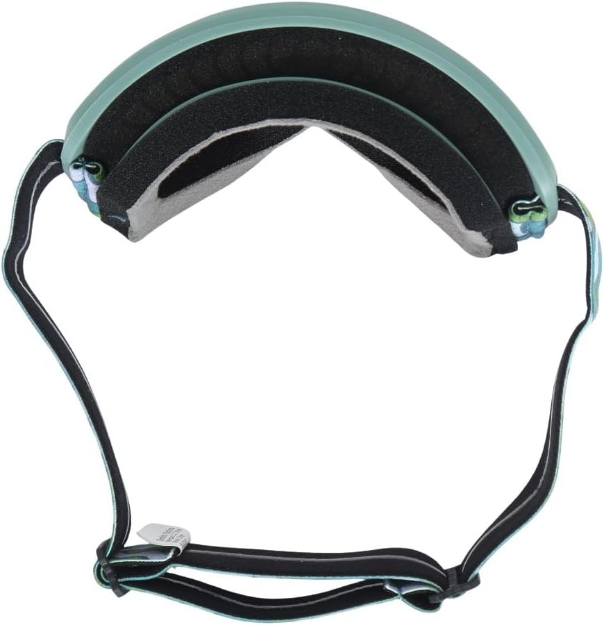 SMITH Snowday Snow Goggles – Youth Ski & Snowboarding Goggles with Anti-Fog Performance & 100% UV Protection for Boys & Girls