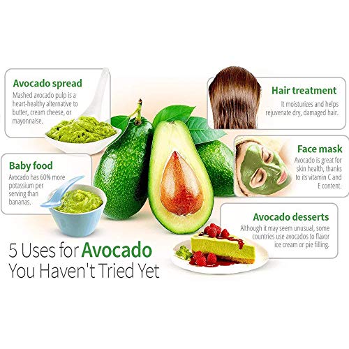 AvoSeedo Avocado Kit regalo per il giardinaggio