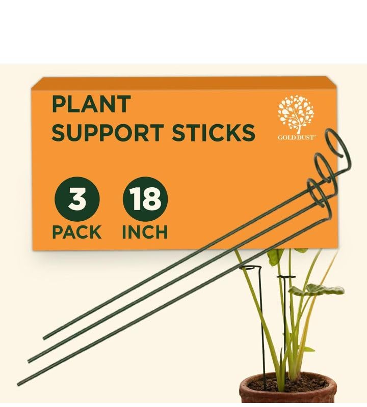 Hammad Metal 18 inches Metal Plant Stakes | Single Stem Flower Plant Support | Garden Plant Trellis for Amaryllis Orchid Lily Rose Tomatoes (B0D3ZHLK8J) Amazon Price History, Amazon Price Tracker