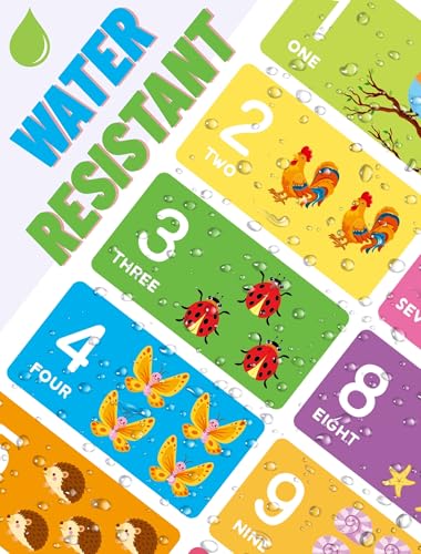 Save 40% with Code on 18PCS Educational Posters for Toddlers - Image 4