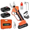 Snoerloze Elektrische Snoeischaar 30mm, Instelbare Afschuifdiameter, 2 STUKS Reserve 21V 2000mAh Lithiumbatterij, 6-8…