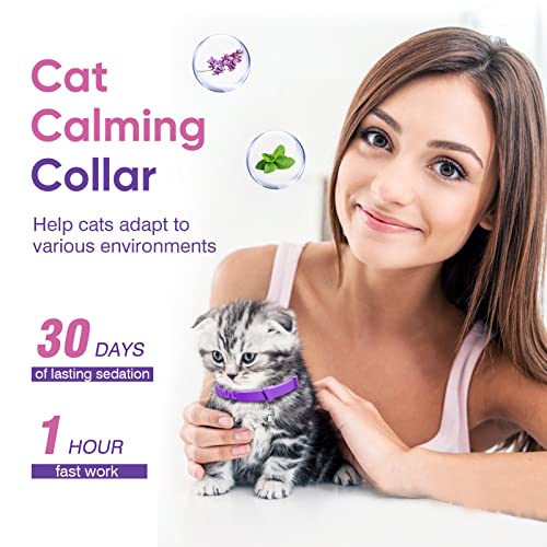 4 Pcs Pheromone Katzen Beruhigende Halsbänder Katze Calming Collar Cat Catcomfort Starter-Kit Lindern Stress und Angstlinderung verstellbare Anti Stress Katzenhalsband Ruhiges Katzenhalsband Verhalten