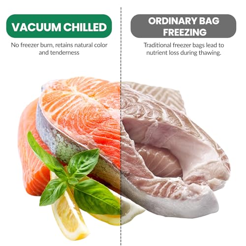 Appareil de mise sous vide alimentaire sec et humide 75 KPA - 6
