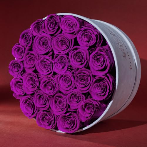 27 Roses in a Luxury Suede Box, Mother Day Flowers Gifts for Mom, Preserved Flowers for Her, Birthday Gifts for Women, Purple