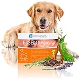 Innovative Hautpflegelösung für Hunde und kleine Haustiere | Feuchtigkeitsspendend, glänzend, kontrolliert Haarausfall, reduziert Gerüche und schützt mit natürlichen Inhaltsstoffen | 20-40 kg