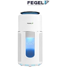 FG-202 Ak ll  WiFi Destekli 4 Katmanl  H13 HEPA Hava Temizleyici | Ak ll  Sens r Teknolojisi, Toz ve Polen Filtresi, Evcil Hayvan T y  Filtresi, K t  Koku Giderici, Ev ve Ofis  in