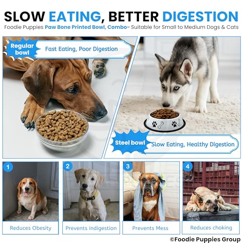 Image of Foodie Puppies Stainless Steel Dog Bowl Combo - (Medium, 700ml) Food and Water Feeding Gift Bowl | Suitable for Dogs, Cats and Other Pets I Paw Bone Print, Anti-Skid Rubber Base (White + Sky Blue)