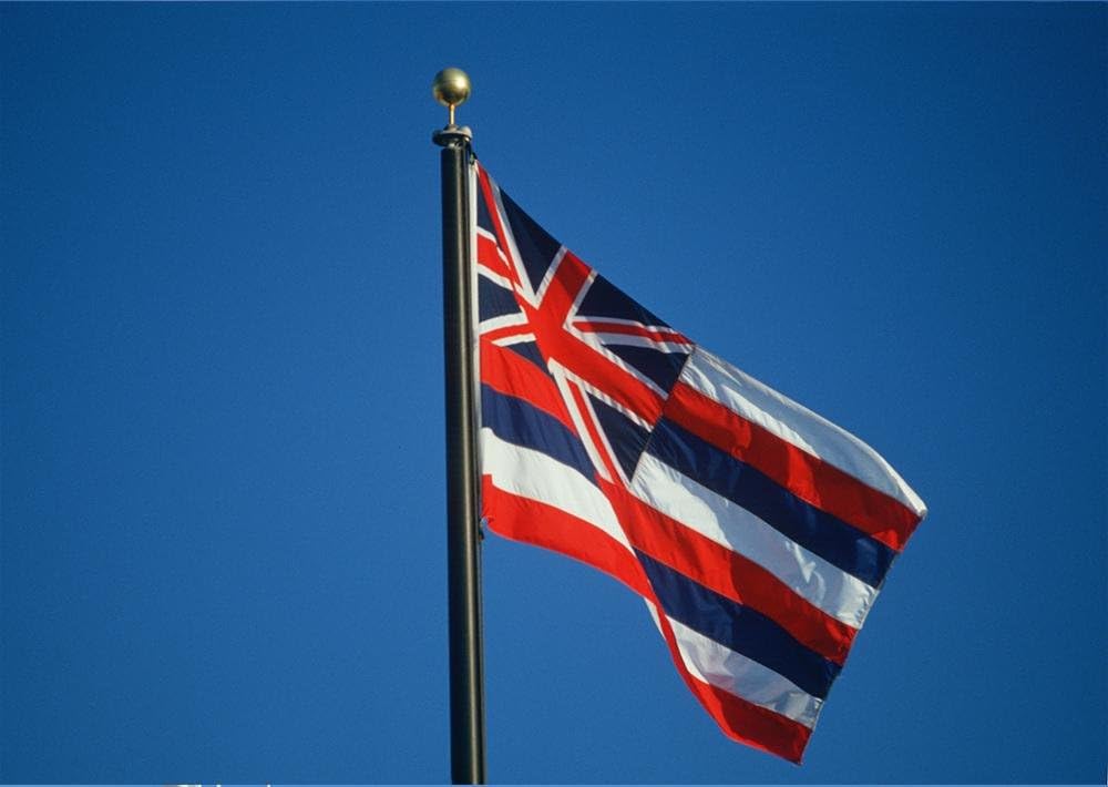 Allied Flag - 4' x 6' Outdoor Nylon Hawaii State Flag - Made in USA - Vivid Color and Fade Resistant - Reinforced Hem and Brass Grommets