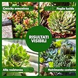 Bionee B0FXMXG9VJ lato 4