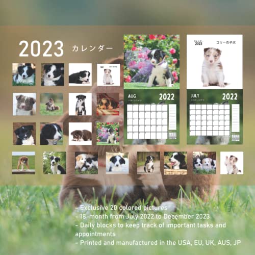 コリーの子犬 カレンダー: 素晴らしいギフト18か月のカレンダー2023年の美しい写真